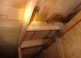To start with, get inside the ceiling and trace the path of dropping water as it enters into the ceiling through the attic of the roof. How To Find A Roof Leak And Fix It Canuck Roofing