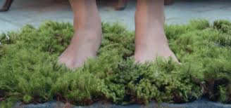 this bath mat made of moss is basically