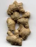 How can you tell if ginger is moldy?