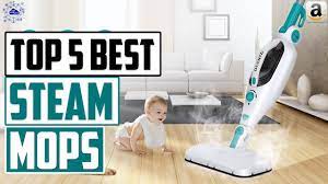 best steam mops cleaner