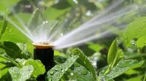 Garden Irrigation Spray System Stock