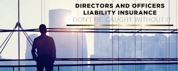 Directors and senior officers in a business are paid to make big decisions, but if those decisions are wrong, things can get very costly. D O Liability Insurance Don T Be Caught Without It
