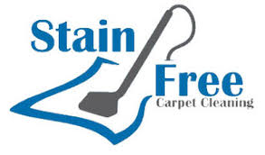stain free carpet cleaning project
