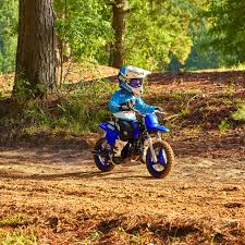 best toddler dirt bikes in 2023 ages