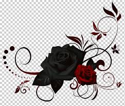 black rose flower rose border love