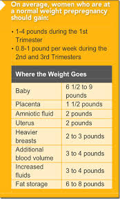 Pin On Weight Gain