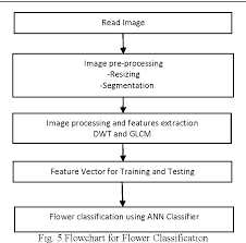 Figure 5 From Flower Classification Using Neural Network