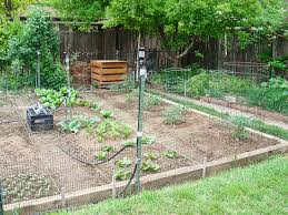 Organic Gardening For Beginners