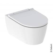 wall mounted washdown toilet