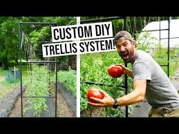The Diy Garden Trellis You Never Knew
