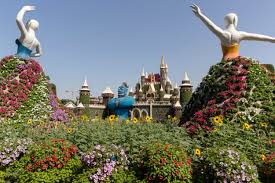 dubai miracle garden reopens for its