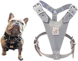 Traditional dog harnesses with only one back d ring doencourage pulling like sled dogs. M D Beautiful Grey Leather Dog Harness Medium Size With French Bulldog Head Motif Only For Fully Grown French Bulldogs Amazon Co Uk Pet Supplies
