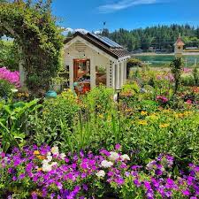 How My Pacific Northwest Cottage Garden