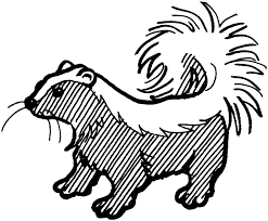 A male skunk is called a buck, the female a doe, and the baby a kit. Skunk Coloring Pages For Kids Coloring Home
