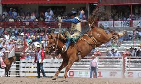 Cheyenne Frontier Days Prca Rodeo