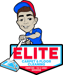 elite carpet floor cleaning