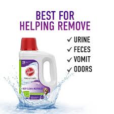 stain guard carpet cleaner solution