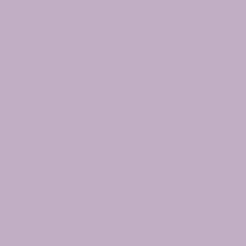 Northern Light Purple Paint Color From