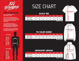 2019 Spring Collection Size Chart 100thieves