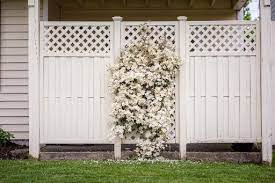 Garden Fence Decoration Ideas To Try