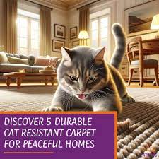 discover 5 durable cat resistant carpet
