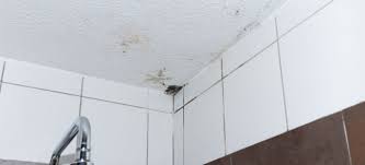 How To Remove Bathroom Ceiling Mold