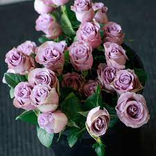 Free flower delivery by top ranked local florist in blaine, mn! Pin On Our Roses Fresh Cut