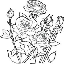 Flower Printable Coloring Pages Pretty Flower Coloring Pages Flower