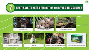 7 Best Ways To Keep Deer Out Of Your