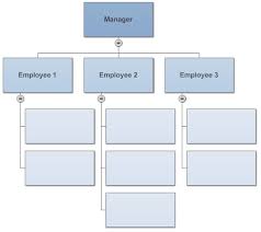 Basic Organizational Chart Sada Margarethaydon Com