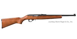 ruger 10 22 compact