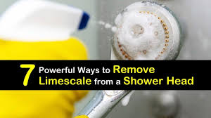 Remove Limescale From A Shower Head