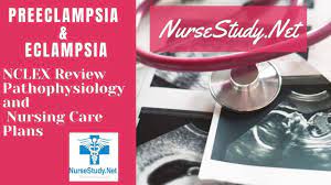 Glomerulonephritis is typical following changes in the urine: Preeclampsia And Eclampsia Nursing Diagnosis Care Plan Nursestudy Net