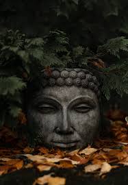 buddha head sculpture free stock photo