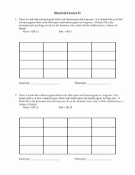 Genetics worksheet answers biology 171 with cadigan at pre from. 50 Dihybrid Cross Worksheet Answers Chessmuseum Template Library Dihybrid Cross Worksheet Practices Worksheets Dihybrid Cross