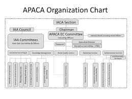 Ppt Apaca Organization Chart Powerpoint Presentation Free