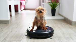 the best robot vacuums for pet hair pcmag
