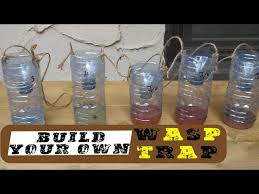 diy wasp trap what works best you