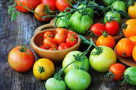 how to grow tomatoes from seed in 6