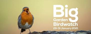 big garden birdwatch
