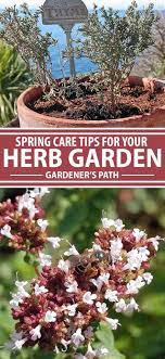 Spring Care Tips For Your Herb Garden