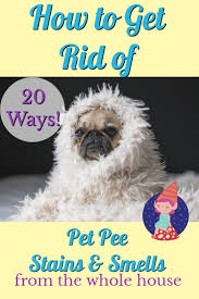 natural ways to get rid of pet urine odor