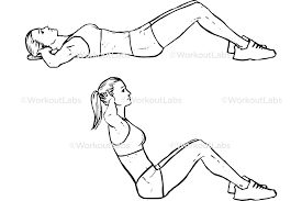 Sit-ups – WorkoutLabs Exercise Guide