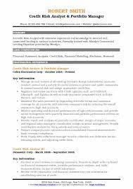 A template you can use to help you keep a simple record of potential risks for risk assessment, as well as some examples of how other companies have completed this. Credit Risk Analyst Resume Samples Qwikresume