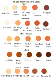 All Pro Makeup Kit Color Chart 0 00 Gypsy Treasure A