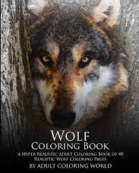 For parents you should try to provide the wolf coloring pages for your children as learning material for coloring. Amazon Com Wolf Coloring Book A Hyper Realistic Adult Coloring Book Of 40 Realistic Wolf Coloring Pages Advanced Adult Coloring Books Volume 1 9781530082629 World Adult Coloring Books