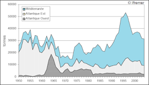 Overfishing And Decline In Fish Numbers Facts And Details