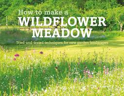 how to make a wildflower meadow