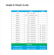 Download Free Height Weight Bmi Conversion Chart For Mac