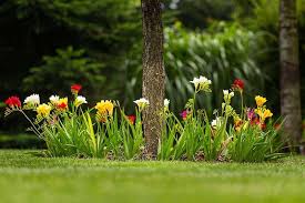 25 Beautiful Flower Bed Ideas Trees Com